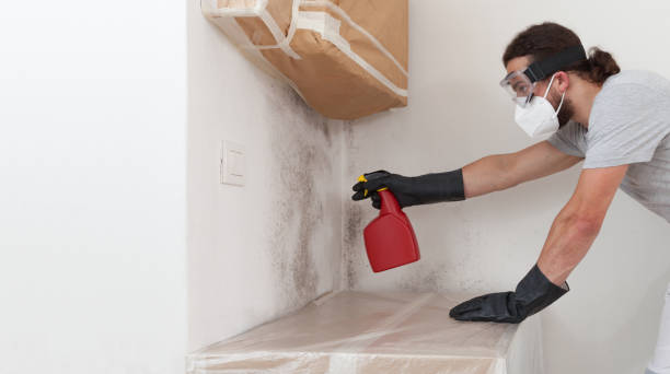 Professional Crawl Space Mold Removal technician working in Marlton, NJ
