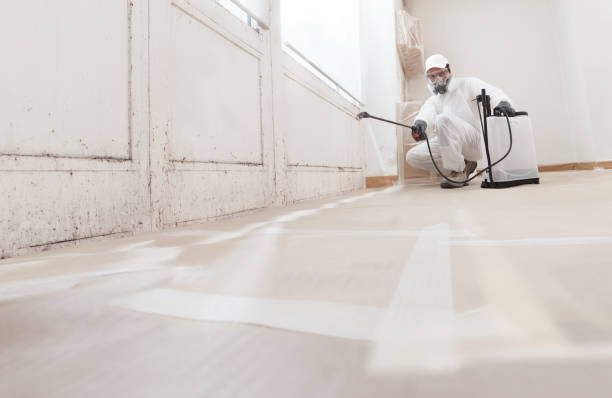24/7 Emergency Crawl Space Mold Removal experts in Marlton, NJ